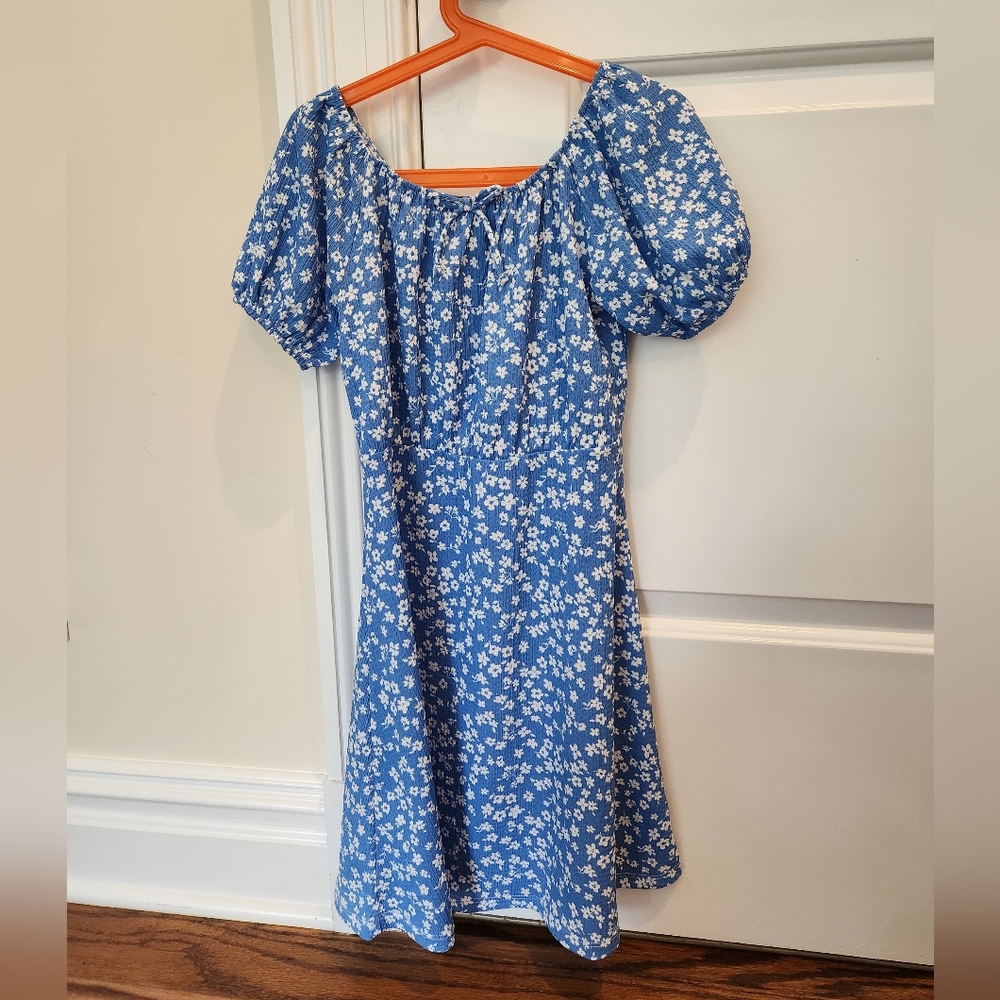 Zara dress